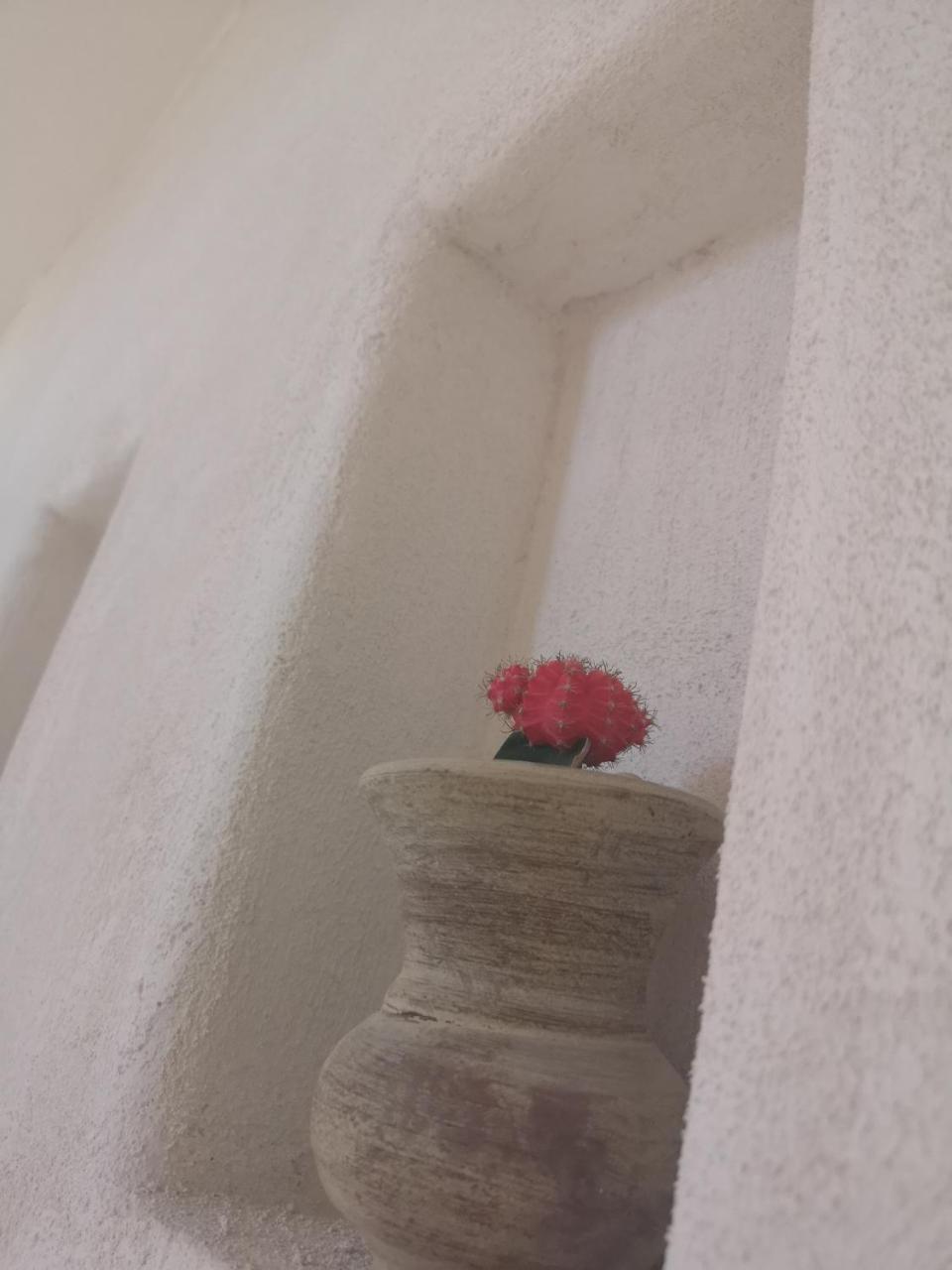 B&b Villa Rosalia Procida Esterno foto
