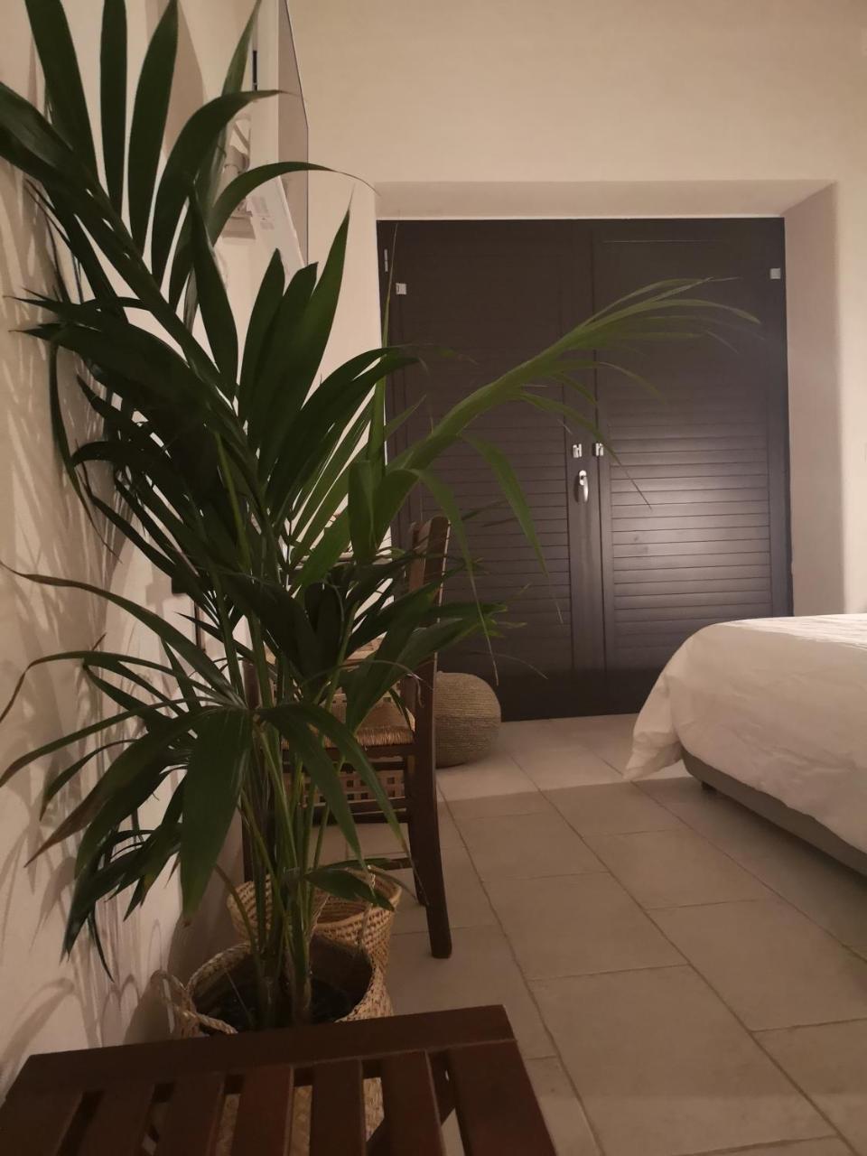 B&b Villa Rosalia Procida Esterno foto