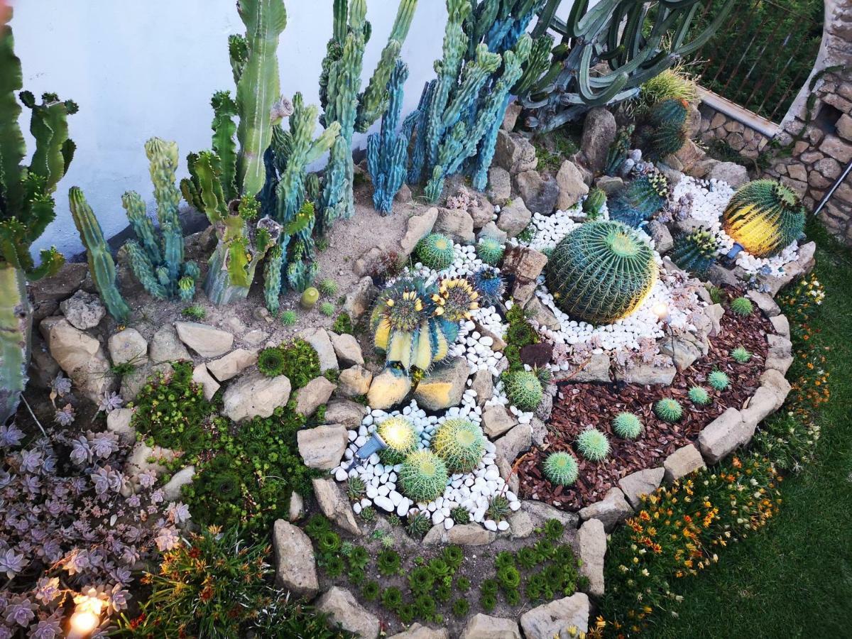 B&b Villa Rosalia Procida Esterno foto
